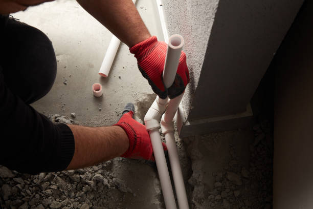 Best Same-Day Plumbing Service  in Dorr, MI