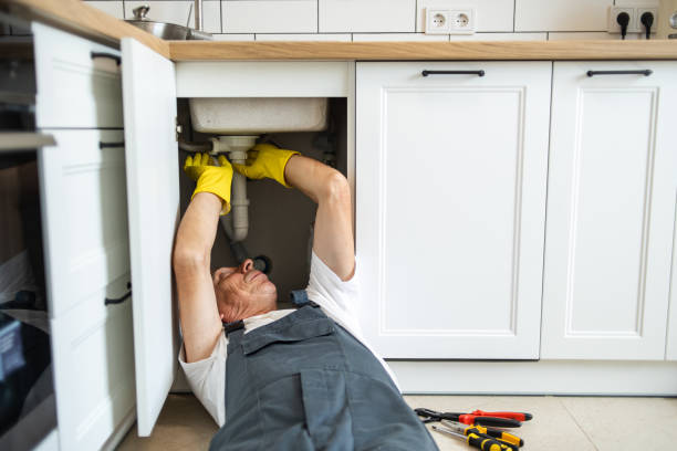 Best Sprinkler Systems  in Dorr, MI